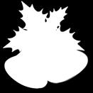 Please fulfill your Preservation pledge by December 31, 2013. ALTAR BOY SCHEDULE: November 3, 2013, 5th Sunday of Luke Team A NEXT BIBLE STUDY: Tuesday, November 26, 2013 3:30-4:30 p.m. Fr.