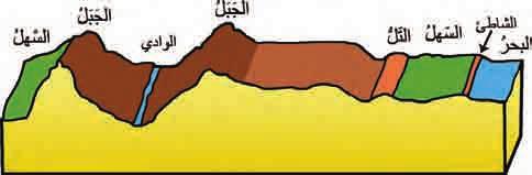 عن ٦٠٠ م تر وله
