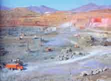 عششاب في المناطق الجبل