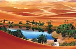 الينابيع ا و الا بار.