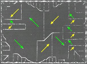Σχήμα 1.5. Μαγνητικές περιοχές (magnetic domains) σε έναν μονοκρύσταλλο Νικελίου [4].