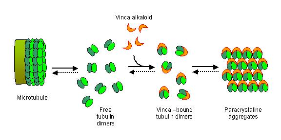 ATAGISTI PIRIMIDISKI BAZA Mehanizam dejstva: inhibicija timidilat sintetaze uracil 5-fluoro uracil