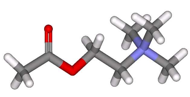 acetilholina - AGISTI -nestabilnost acetilholina (hidroliza - p, acetilholinesteraze) -selektivnost za receptor karbahol (bioizoster) 2 Stabilniji i selektivniji analozi acetilholina