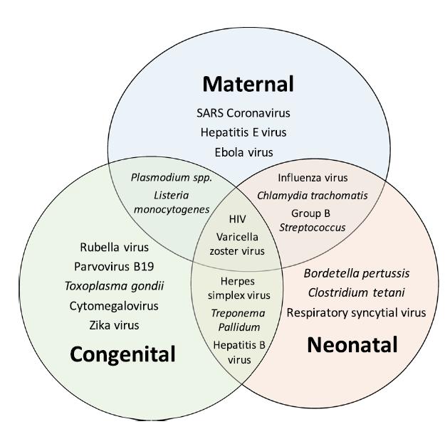 Aίτια συγγενών λοιμώξεων Toxoplasma Other (syphilis, HBV, VZV, HIV, Parvo