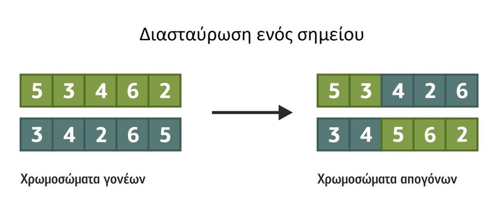 βαθμολογία να υπάρχουν πάνω από μία φορά αλλά και να υπάρχουν στοιχεία με όχι και τόσο καλή βαθμολογία.