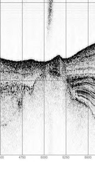 (Papatheodorou et al., 1993).