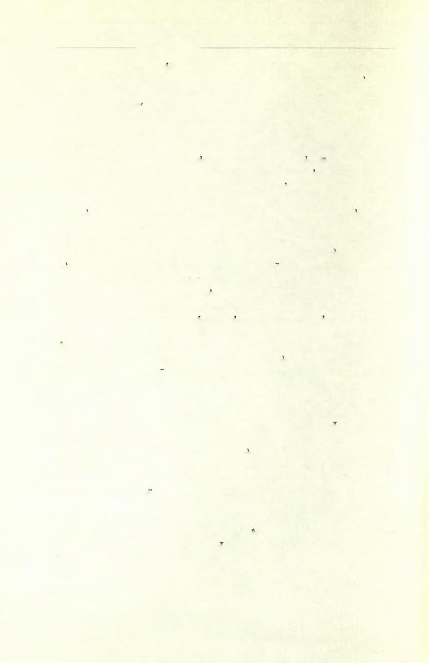 208 Πρακτικά τής Αρχαιολογικής Εταιρείας 1969 λων διεκρίνοντο μεγάλη υδρία μέ τοξοειδείς λαβάς καί στρογγύλον στόμιον, δύο προχο'ίσκαι, πρόχους μέτριου μεγέθους μέ σκοτεινήν χρώσιν, το κάτω μέρος