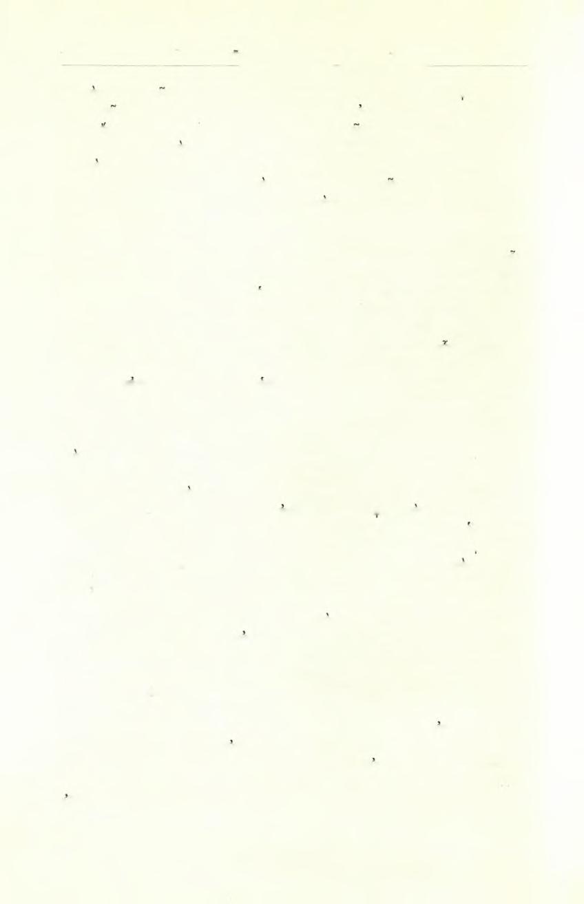 198 Πρακτικά της Αρχαιολογικής Εταιρείας 1969 καί τον χώρον των έκ Νότου προσπελάσεων είς τό άνάκτορον λόγω τής εύρύτητος του κυρίου προγράμματος.