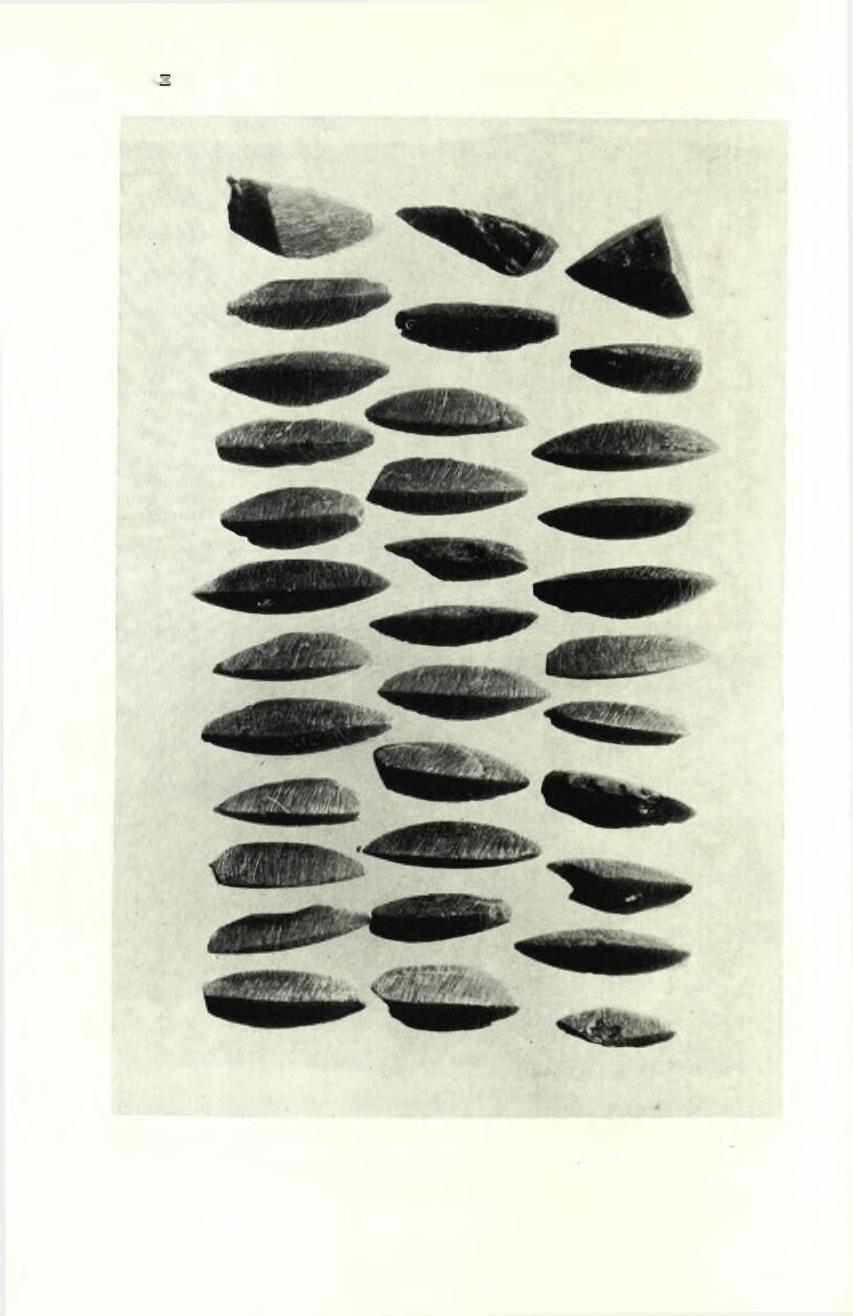 ΠΙΝΑ- 256 ΠΑΕ 1969. 18.