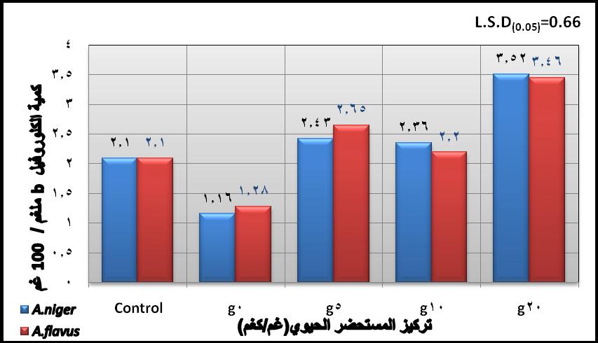 شقل 6 (:تأالير