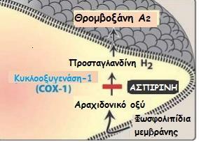 Ακετυλοσαλικυλικό οξύ (Aspirin, Salospir) Μη στεροειδές αντιφλεγμονώδες (ΜΣΑΦ) Επιπλέον δράση αναλγητική, αντιπυρετική, αντιφλεγμονώδη Σε μικρές δόσεις (20-30mg αρκούν) προκαλεί μη αναστρέψιμη