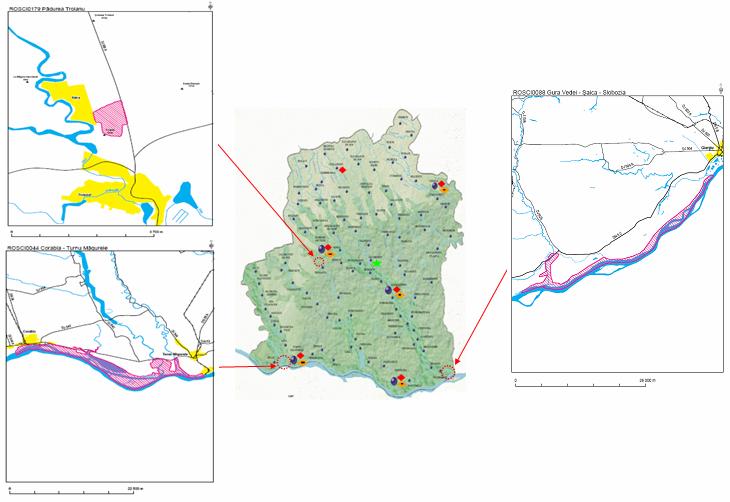 3 situri de interes comunitar(sci), a căror suprafaţă totală este de 7389,93 ha, reprezentând 1,28 % din suprafaţa judeţului: Corabia Turnu Măgurele - suprafaţa de 4706,08 ha Gura Vedei Şaica