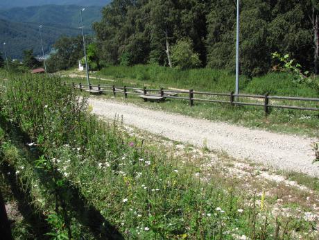 Aspecte privind accesul pe platoul Rezervaţiei Naturale Locul fosilifer Cozla La alcătuirea depozitelor flişului iau parte
