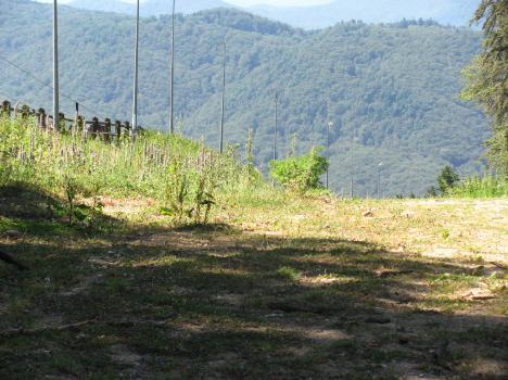 Formarea masivului Cozla este legată de existenţa, cu 60 de milioane de ani în urmă, a Mării Oligocene care, datorită mişcărilor orogenetice a generat următoarea sedimentare: Orizontul Gresiei de