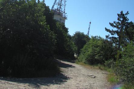 deosebită care se desface sub muchia ciocanului geologic în foi subţiri,