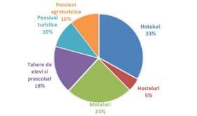 Fig. 20. Capacitatea de cazare turistică în funcţiune pe tipuri de structuri de primire Jud.