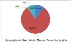 Tabel 72. Consum biomasă (lemne de foc, peleţi, etc.) 199 Destinația consumului U.M. Total populație MWh 53044 sector terțiar (creșe, grădinițe, scoli, spitale, alte clădiri publice, etc.