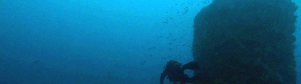 Το ναυάγιο βρίσκεται σε αρίστη κατάσταση καθώς