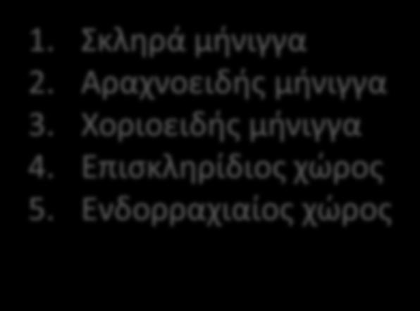 Ενδορραχιαίοσ χώροσ 12. πρ.