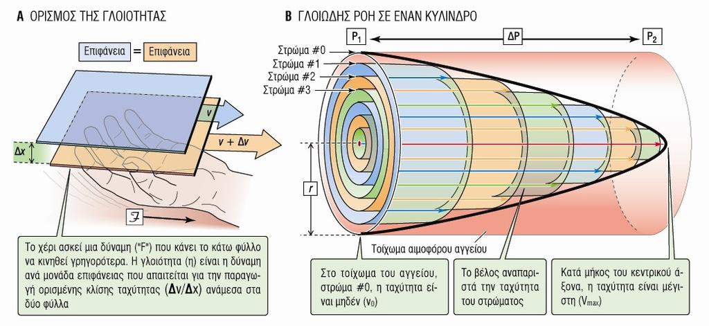 από το (παράλληλο) τοίχωμα του σωλήνα ή δοχείου (x και y σύστημα