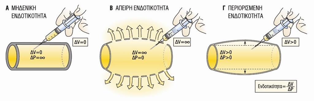 Μέτρηση της ροής του αίματος στα αγγεία Για αγγείο μήκους l στο οποίο η παροχή στην είσοδο είναι Π 1 και στην έξοδο Π 2, σε ήρεμη κατάσταση θα ισχύει Π 1 = Π 2 = Π.