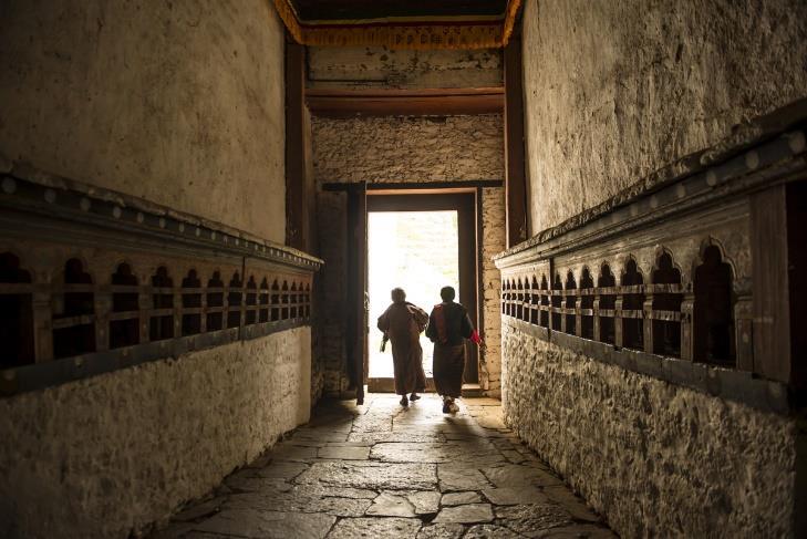 Το Τακίν είναι το εθνικό ζώο του Μπουτάν και μοιάζει με διασταύρωση αγελάδας και κατσίκας. Η ημέρα μας θα κλείσει με ξενάγηση στο μοναστήρι-φρούριο Τσανγκάνγκχα Λακχάνγκ.