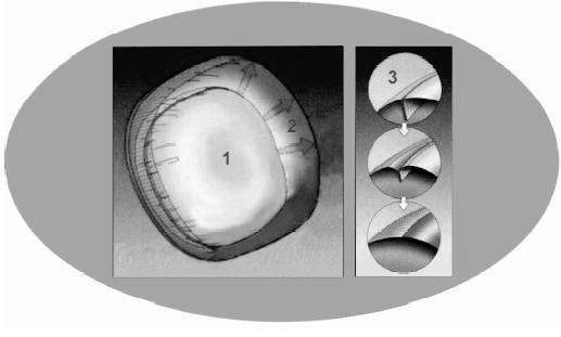 Fiecare airbag dublu volum dispune de două generatoare pirotehnice comandate prin două linii separate.
