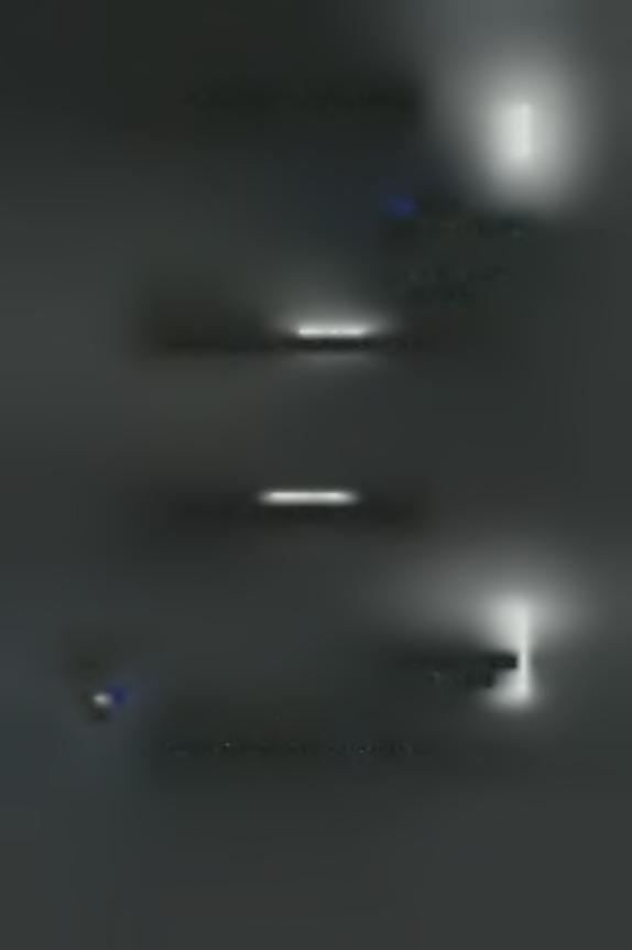 Κλωβός B1 (22/3/2006-3/4/2006) Σειρά 1 ------Γραμμική (Σειράΐ) y = 1,4175χ + 3,9531 R2 = 0,388 Γράφημα 2: Γραμμική ανάλυση δεδομένων