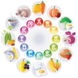 VITAMÍNY vo výžive gravidných a dojčiacich žien PharmDr.
