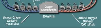 003 x PaO2) per 100 mlsofblood Oxygen