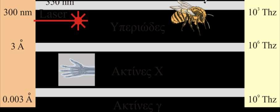 Δθμιτρθσ Παπάηογλου