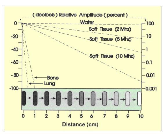 υλικό μέσω του οποίου διέρχεται και (2) τη συχνότητα του υπερηχογραφήματος. Ο ρυθμός εξασθένησης (απορρόφησης) καθορίζεται με βάση συντελεστή εξασθένησης στις μονάδες ντεσιμπέλ ανά εκατοστόμετρο.