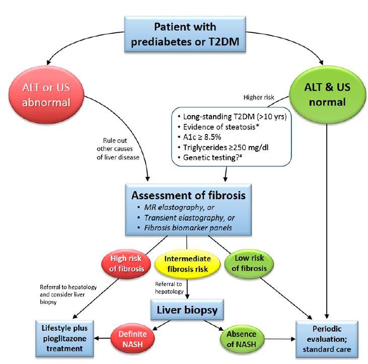 Αλγόριθμος διάγνωσης και αγωγής NAFLD και NASH σε άτομα με