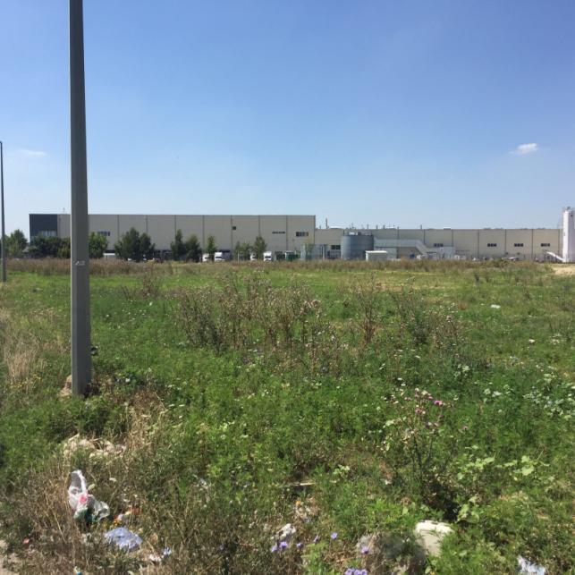 Vegetația naturală este relativ degradată, terenul nefiind utilizat agricol în ultimii ani. Foto 1-2.
