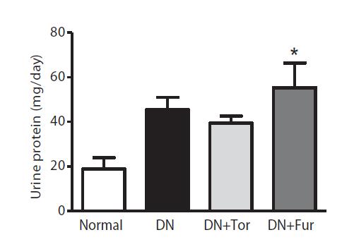 Loop diuretics Proteinuria in diabetic