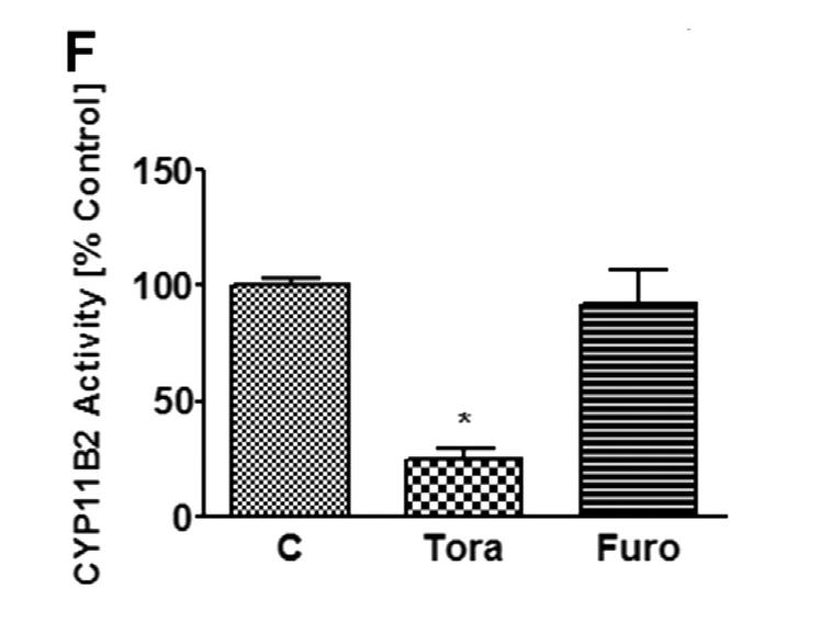 Loop diuretics Aldosterone synthase