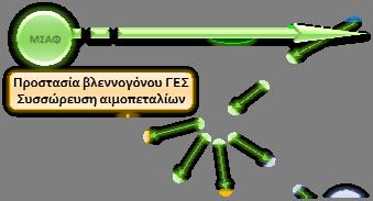 καταστροφή Φωσφολιπίδια COX ΑΑ PLA 2 LOX PGG 2 5 HPETE PGH 2 LTA 4 LTB 4