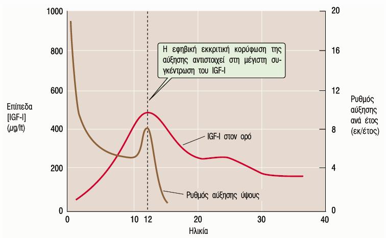 Αυξητική ορµόνη - IGF-Ι & Ρυθµός Αύξησης Ύψους Ο IGF-Ι του πλάσµατος χρησιµοποιείται ως µέτρο της έκκρισης GH Σχετικά σταθερή συγκέντρωση στη διάρκεια της ηµέρας (1-2Χ) v Ελαττώνεται σε άτοµα µε