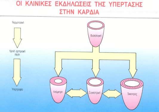 Η αοςηοιακή σπέοςαρη ποξκαλεί σπεοςοξτία ςξσ
