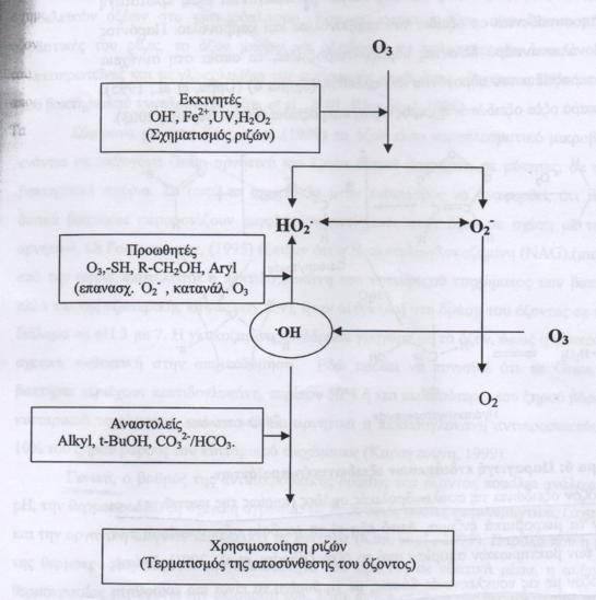με καθορισμένο τρόπο δίνοντας ρίζες υδροϋπεροξειδίου ( ΗO2), υδροξυλίου ( HΟ) και υπεροξειδίου ( O2 - ).