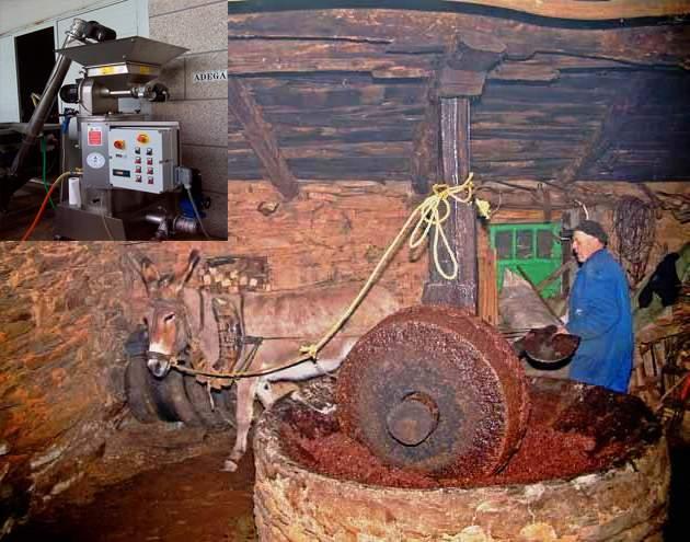 A NOSA COMARCA 8 Cara a unha economía máis ecolóxica Un pobo resulta da integración indisoluble da súa xente, territorio e seu dereito.