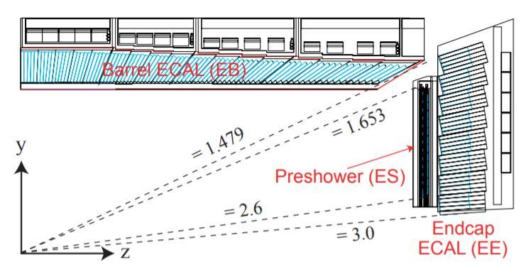 resolution (as provided by a homogeneous crystal calorimeter) enhances its chances to detect the decay of Higgs Boson to two photons.