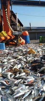 Είναι πολύ σημαντικό να έχουμε υπόψη μας όλες τις πιέσεις και να αναλογιστούμε τις αθροιστικές συνέπειές τους.