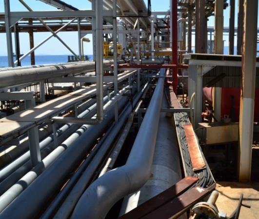 ΕΠΙΘΕΩΡΗΣΗ ΠΕΡΙΒΑΛΛΟΝΤΟΣ 2.4 Σημαντικότερες περιβαλλοντικές επιθεωρήσεις το 2017 α) Έλεγχος σε Διυλιστήριο στο Ν.