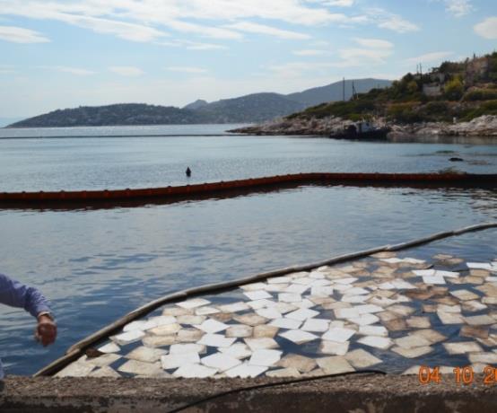 Υπαλλήλους, για τη διερεύνηση τυχόν ποινικών ευθυνών για την υποβάθμιση του περιβάλλοντος, λόγω της κατολίσθησης, αλλά και εξαιτίας των ρωγματώσεων που εμφανίστηκαν τα τελευταία
