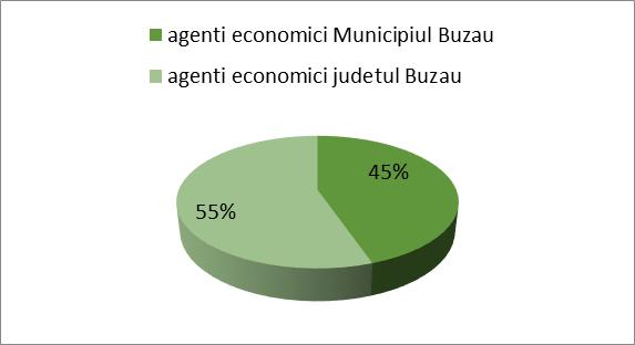 câştigate de către municipalitatea buzoiană, precum şi deschiderea manifestată de Primărie faţă de investitori, fie locali, naţionali sau din afara graniţelor, au săltat judeţul la capitolul creştere