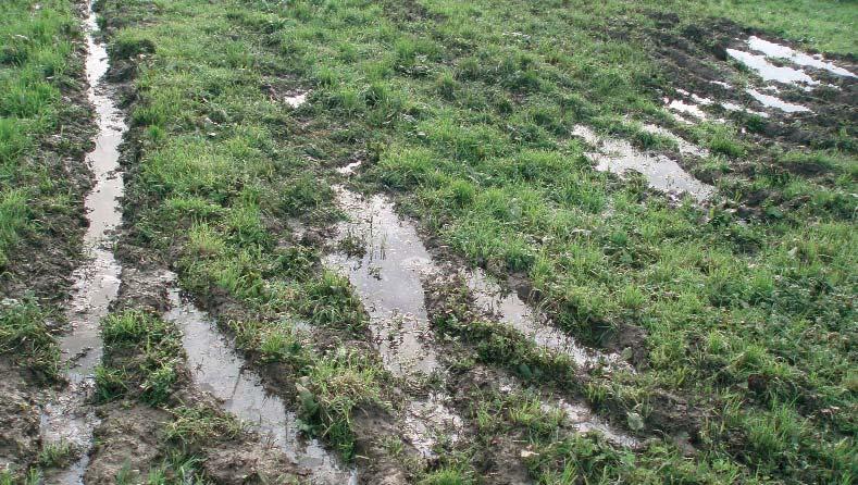 Imaxe de rodeiras en terreo enchoupado No relativo a evitar a erosión do solo: Non deberá labrar na dirección da pendente cando esta sexa maior do 10% en terras de cultivo, ou do 15% en viñedo.