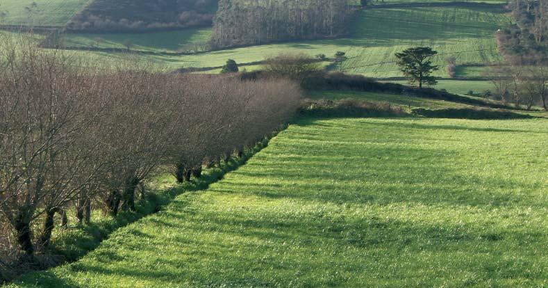 3. Informalle: Que antes de comezar a súa actividade facilitará á Consellería do Medio Rural os datos necesarios para rexistrar a súa explotación e incluíla na base de datos.