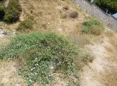 σε άρδευση και στόχο την αποκατάσταση της παρόχθιας