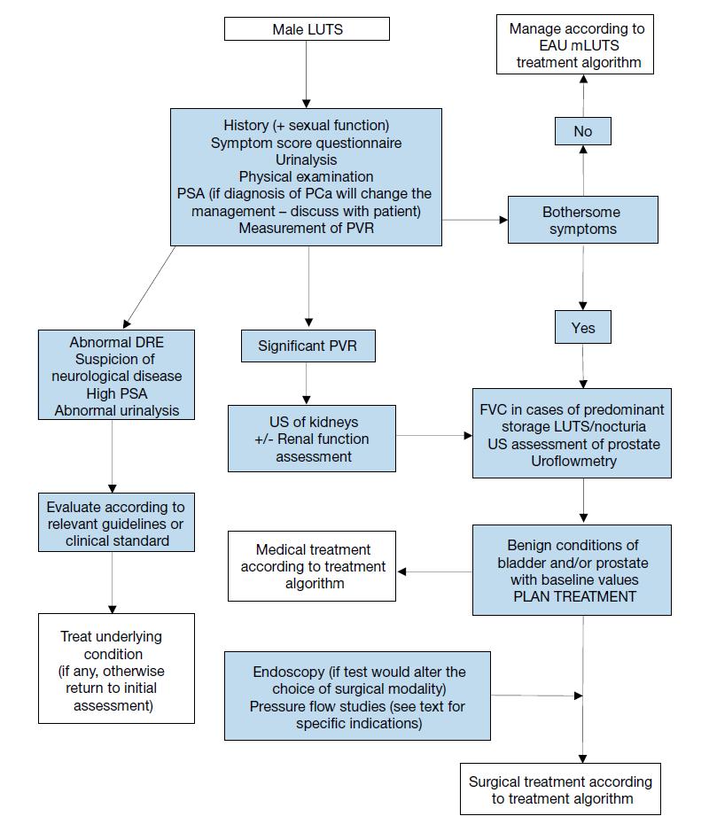 EAU Assessment Algorithm for mluts Ημερολόγια ούρησης: Κυρίαρχα συμπτώματα αποθήκευσης Νυκτουρία EAU Guidelines on